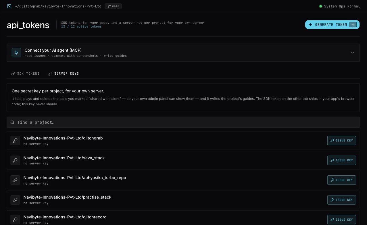 The Server keys tab on API Tokens: one row per project you own, each with its key status and an Issue key button